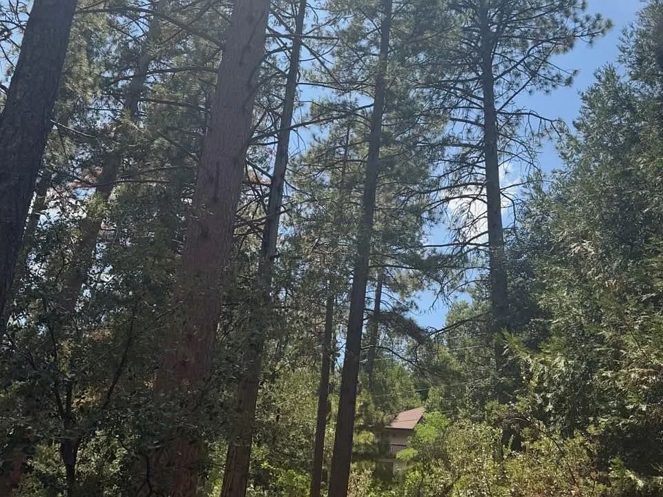 2nd image of 0 Big Pine St #0