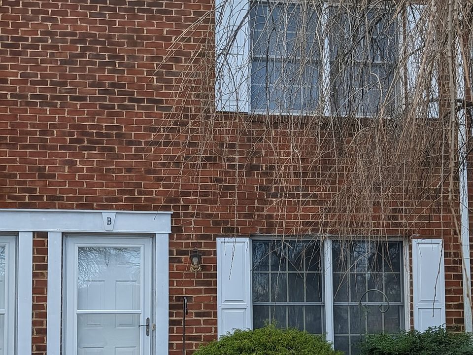 1st image of 121 Mount Crawford Ave #B