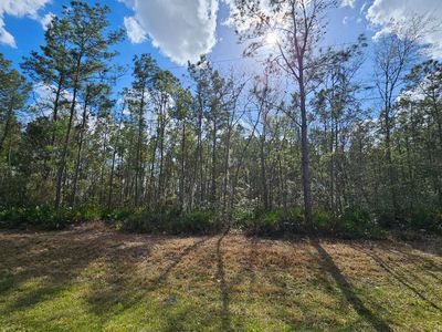 Tbd Se Cr 25a, Jasper, FL, 32052