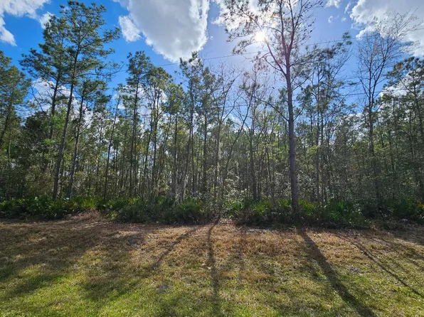 Tbd Se Cr 25a, Jasper, FL 32052