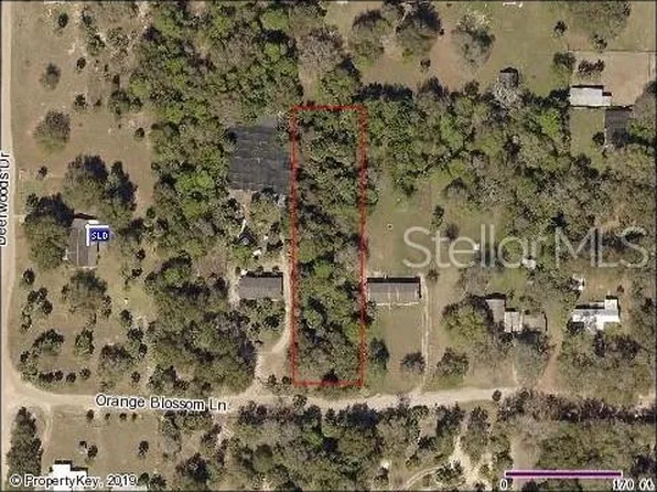 Orange Blossom Ln, Eustis, FL 32736