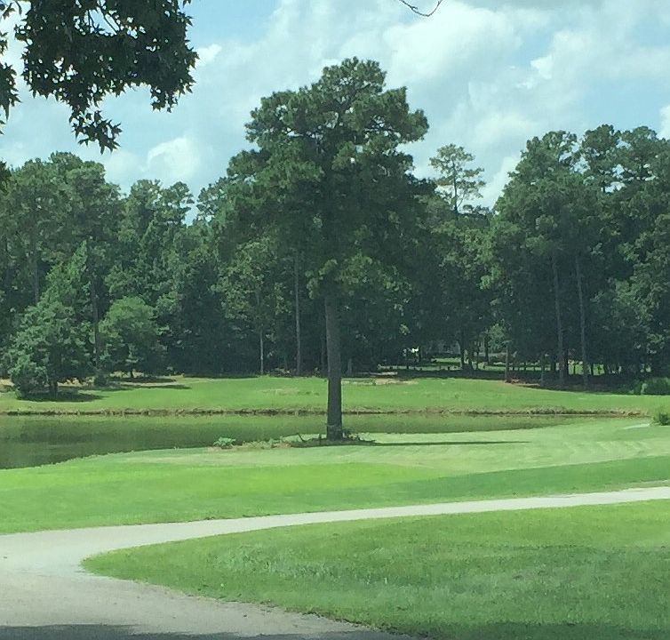 The Pond 