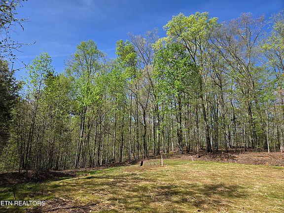 4th image of 354 Ladd Ridge Rd