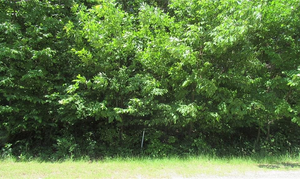 1st image of 6677-6679 Panorama Dr