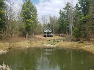 8555 Katner Rd, Bath, NY 14810