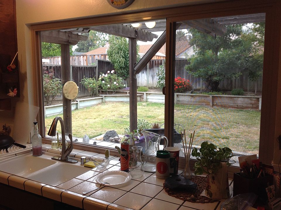 Back yard thru kitchen window