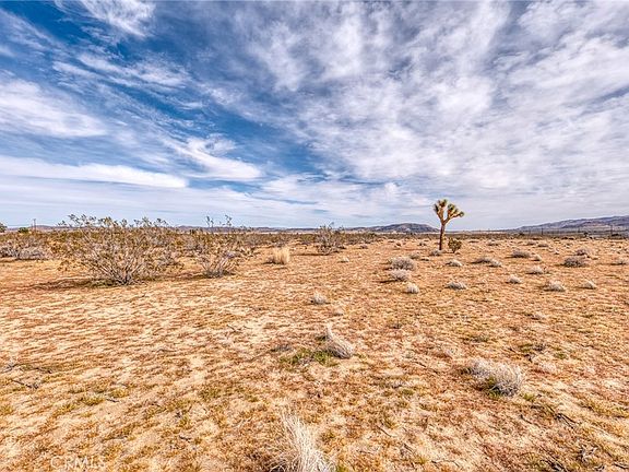 3rd image of 147 Littlefield Rd