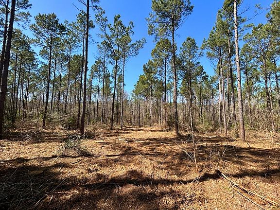 2nd image of County Road 1453