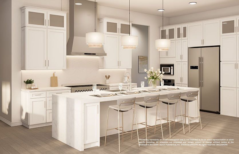 Artist s Renderings of Kitchen