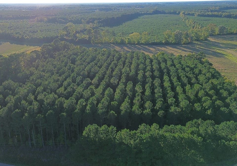 Dji Fly 20261012 172956 126 1791840635784 Photo Optimized Jpg