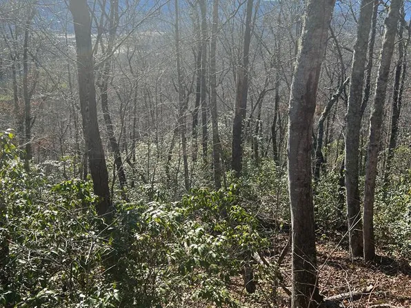 501 Springbrook Dr, Franklin, NC 28734