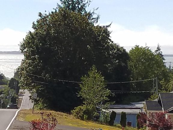 3rd image of Lots 5-6 McCoy St
