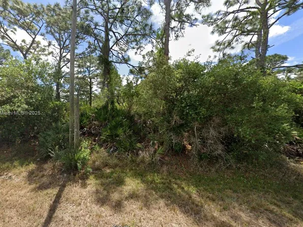 430 Tiger St NW, Lake Placid, FL 33852