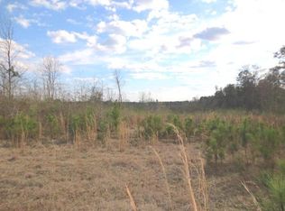 46 Floyd Strickland Rd, Ellisville, MS 39437