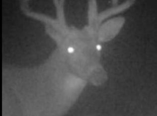 Cade Rd, Capac, MI 48014