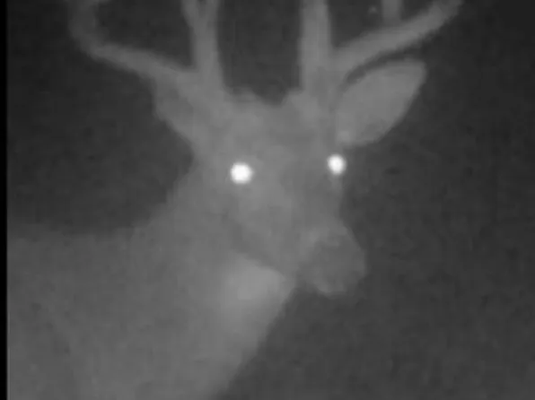 Cade Rd, Capac, MI 48014