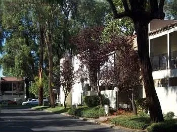 Frontview