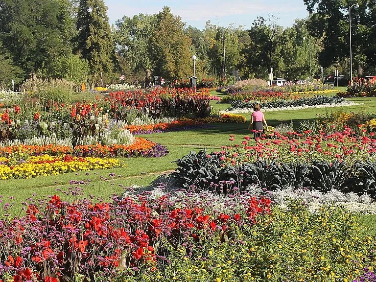 A stroll through one of the many flower gardens at Washingto