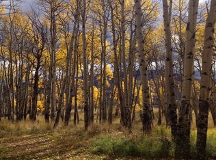 301 Wildrose Ln, Crested Butte, CO 81224