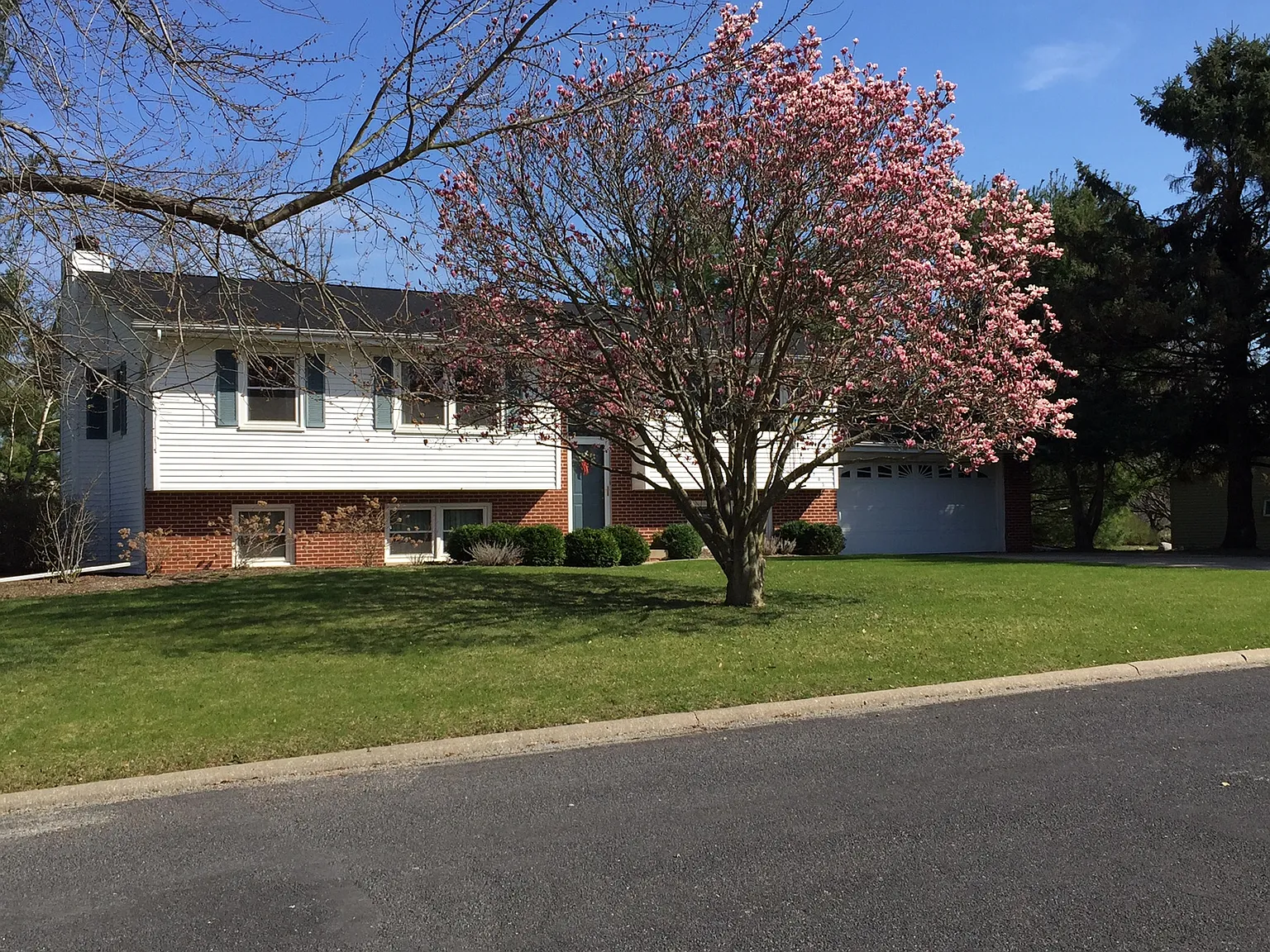 2203 Oak Dr photo 1