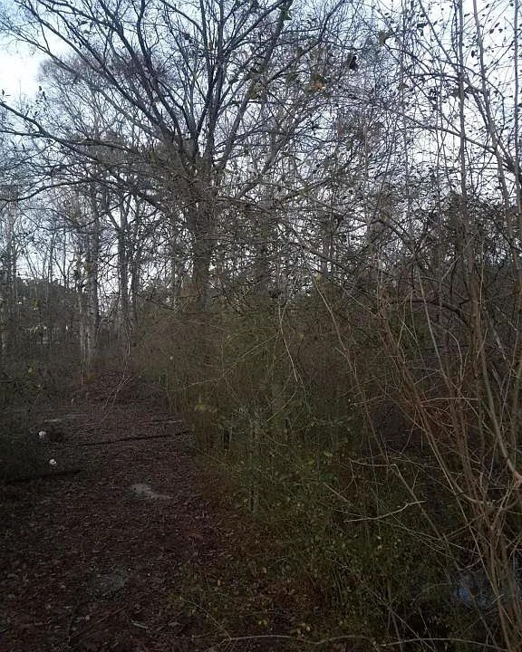 2nd image of 9130 Canvas Ln