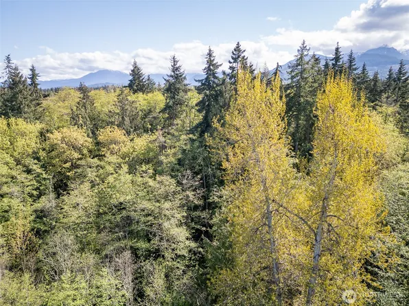 0 Roy Street #388, Port Angeles, WA 98362