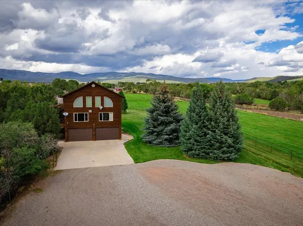 770 NE Shady Oak Ave, Cedaredge, CO 81413