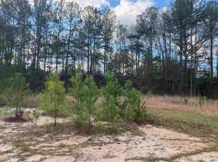 410 Collins Estate Ave, Centerville, GA 31028