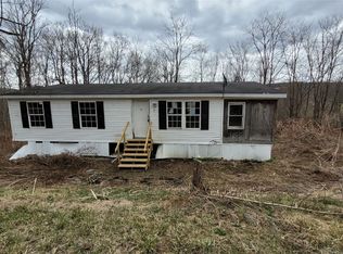 273 W Creek Rd, Owego, NY 13827