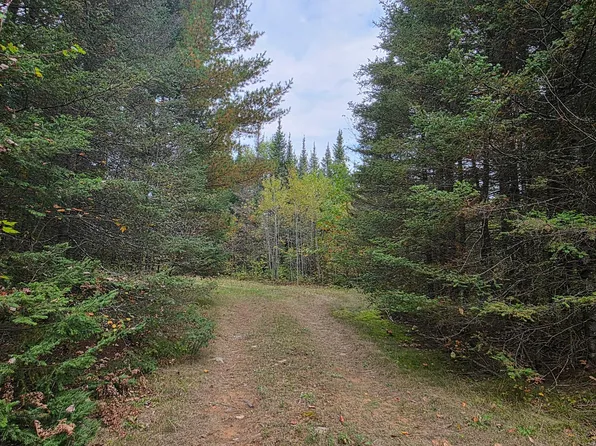 On Wilson School Rd, Tomahawk, WI 54487