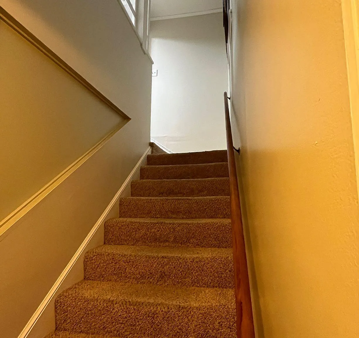 Studio, 525 sqft, $695 — Photo 3