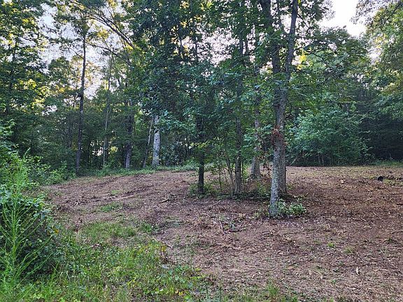 3rd image of 375 Goins Hill Rd