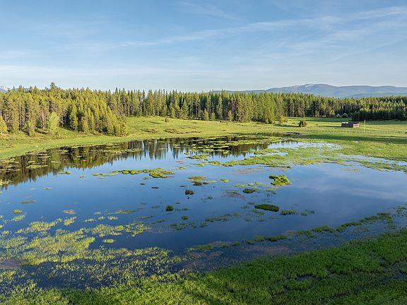 14th image of this home