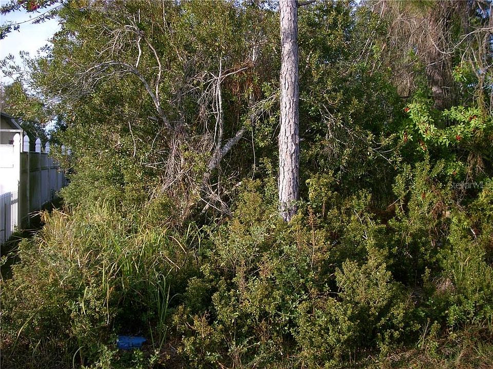 2nd image of 119 Aurora Ln