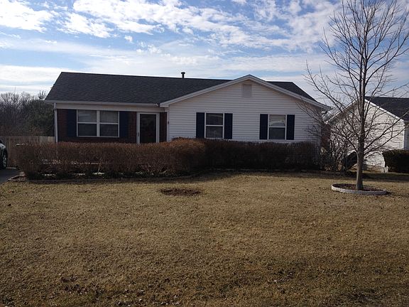 Shrubs turn green and full