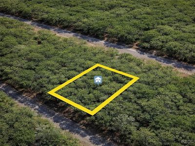 1650 E Badger Dr, Citrus Springs, FL, 34434