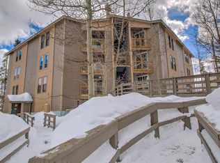 2300 Lodge Pole Circle #UNIT 206, Silverthorne, CO 80498