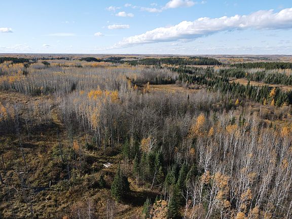 2nd image of Rice Rapids Rd