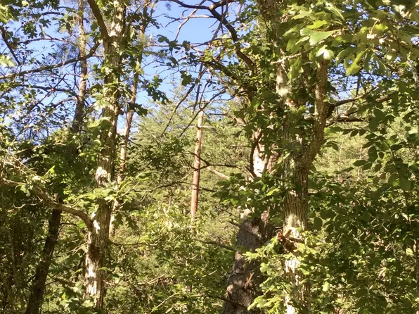 8512 Wayside Creamery Rd, Wayside, WV 24985