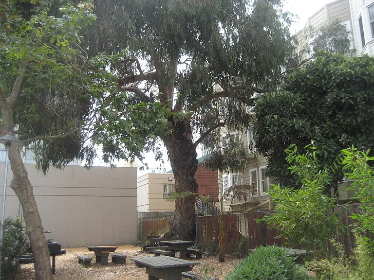 1330 Turk St #309 — Photo 10