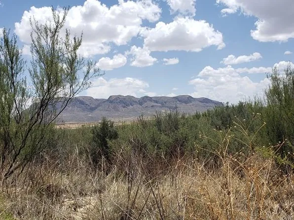822 Tony Hess Rd, Terlingua, TX 79852