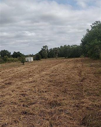 5th image of 29455 Pine Villa Cir