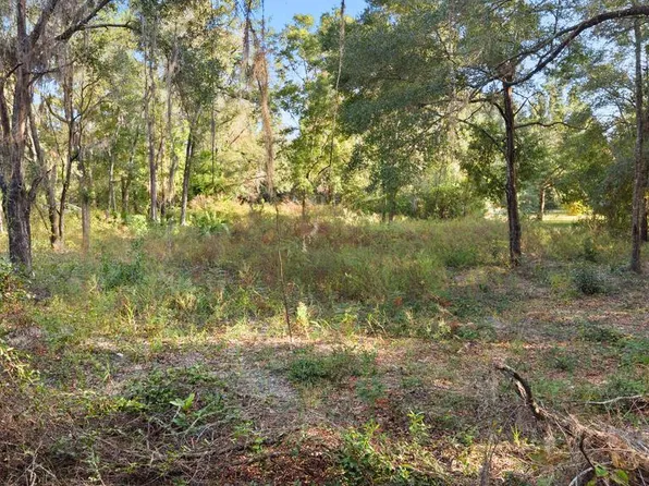 NE 538th Ave, Old Town, FL 32680