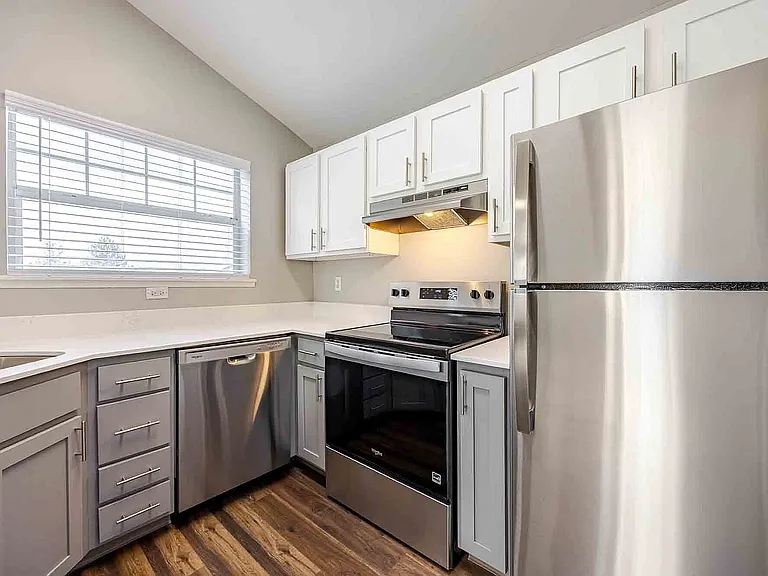 Modern Kitchen