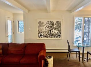 601 S West End St UNIT 8, Aspen, CO 81611