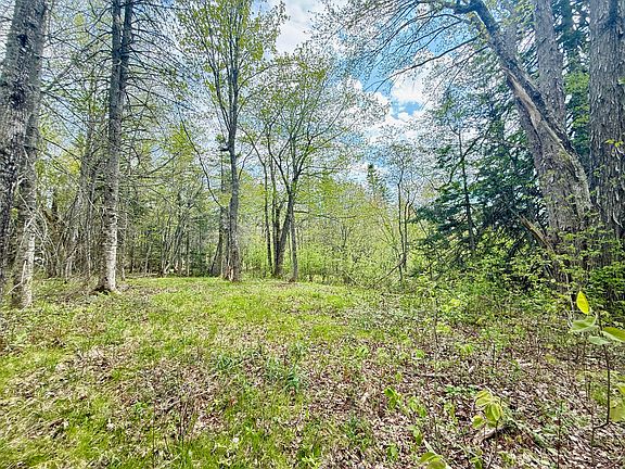 4th image of Lot 5-3 East Palmer Road