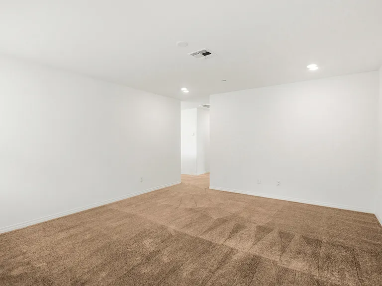 27215 Lost Palm St — Photo 55