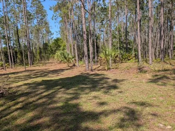 540 SW 326th Ave #340, Steinhatchee, FL 32359