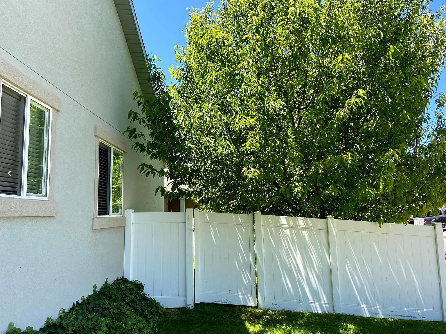 5 bed, 2.5 bath, 2788 sqft, $2,650 — Photo 3
