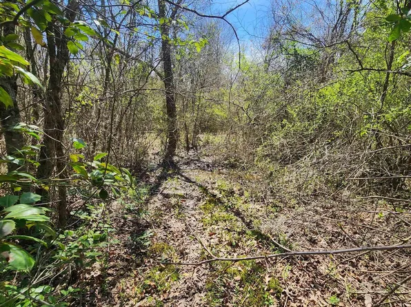 LOT 5 Parker Dr, Mena, AR 71953